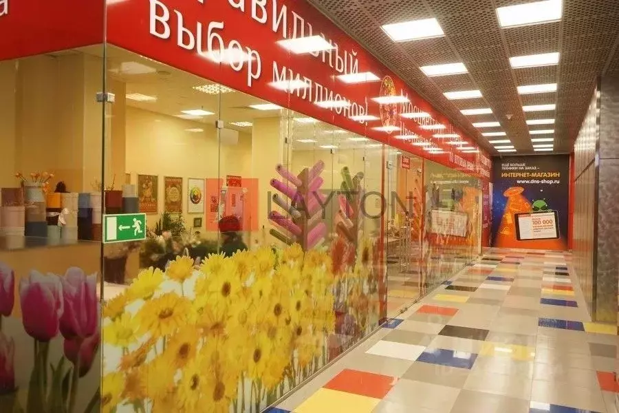 Помещение свободного назначения в Москва Снежная ул., 26 (174 м) - Фото 0