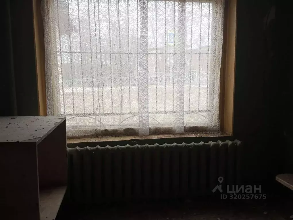 Торговая площадь в Костромская область, Нерехтский район, Пригородное ... - Фото 1