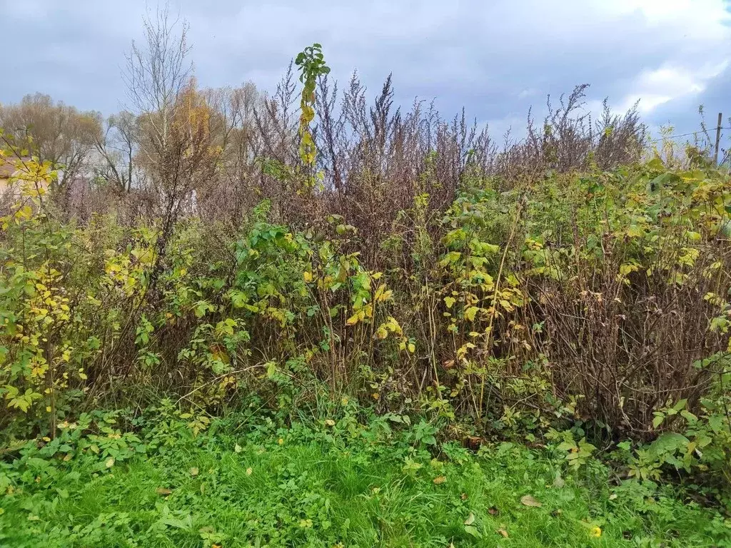 Участок в Московская область, Лотошино муниципальный округ, д. ... - Фото 1