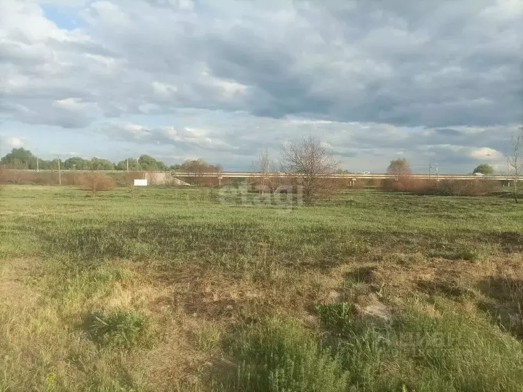 Участок в Воронежская область, Новоусманский район, с. Бабяково ... - Фото 1