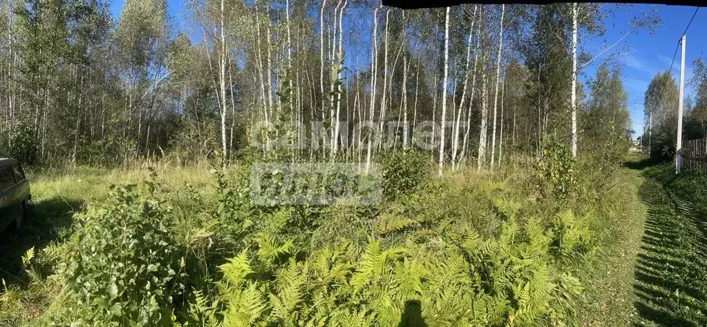 Участок в Московская область, Шатура муниципальный округ, Черусти пгт ... - Фото 2