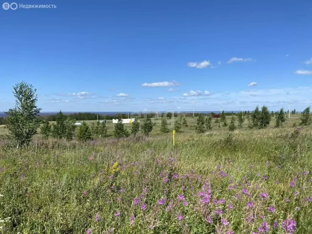 Участок в Тукаевский район, Биюрганское сельское поселение, деревня ... - Фото 1