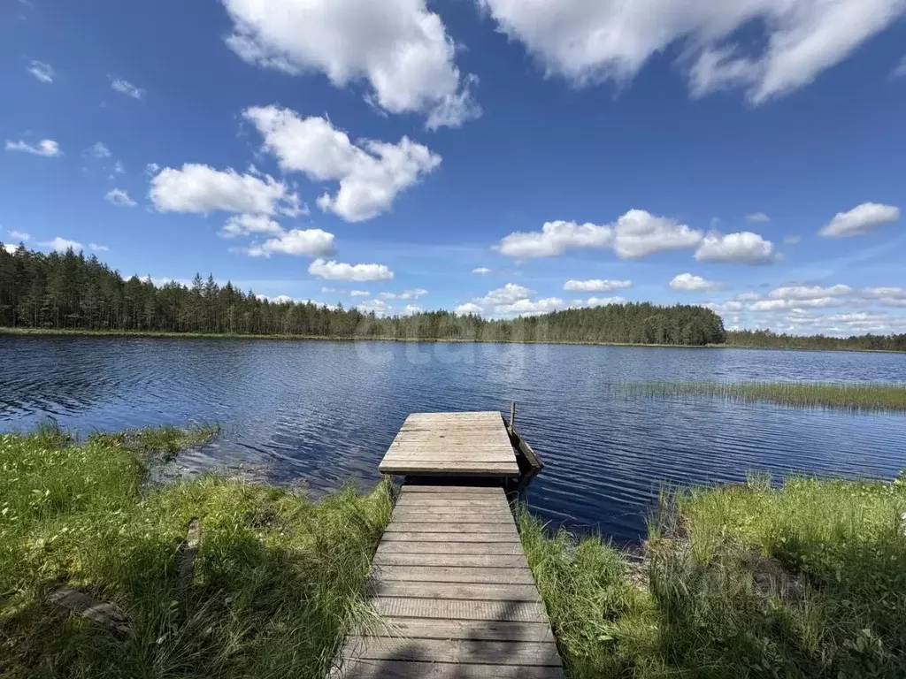 Дом в Ленинградская область, Выборгский район, Рощинское городское ... - Фото 1