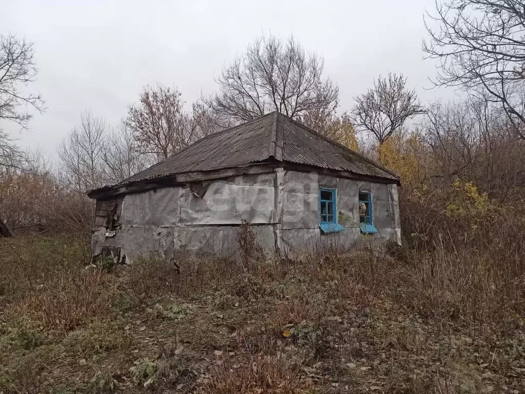 Дом в Белгородская область, Губкинский городской округ, с. Панки ул. ... - Фото 1