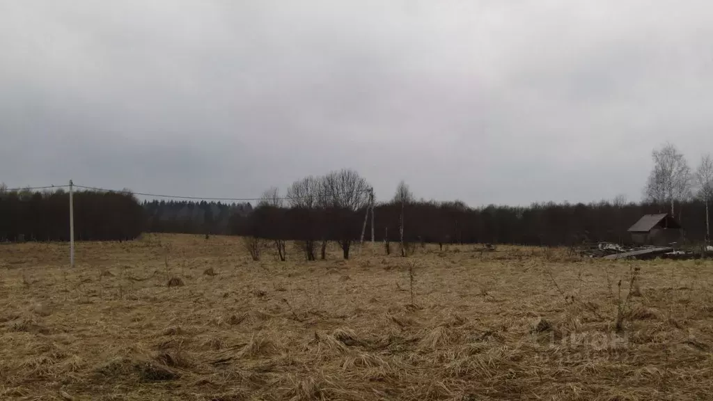 Участок в Московская область, Рузский муниципальный округ, д. ... - Фото 1