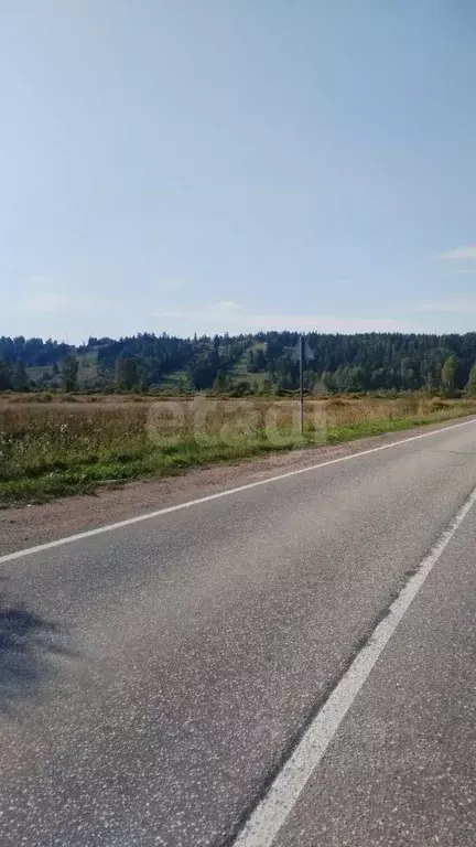 Участок в Ленинградская область, Приозерский район, Красноозерное ... - Фото 1