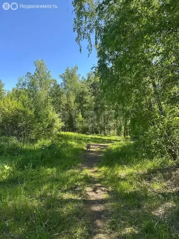 Участок в Красноярск, Октябрьский район (880 м) - Фото 1