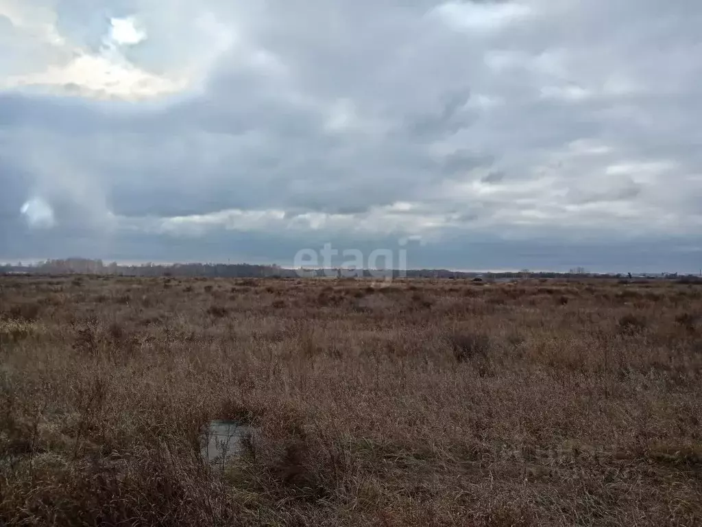 Участок в Омская область, Омский район, с. Усть-Заостровка Заозерная ... - Фото 0