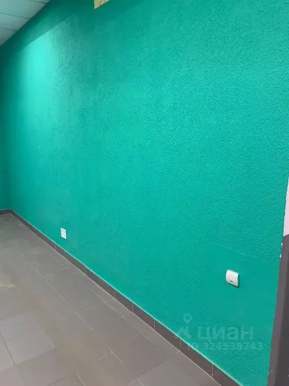 Торговая площадь в Московская область, Дмитровский муниципальный ... - Фото 2