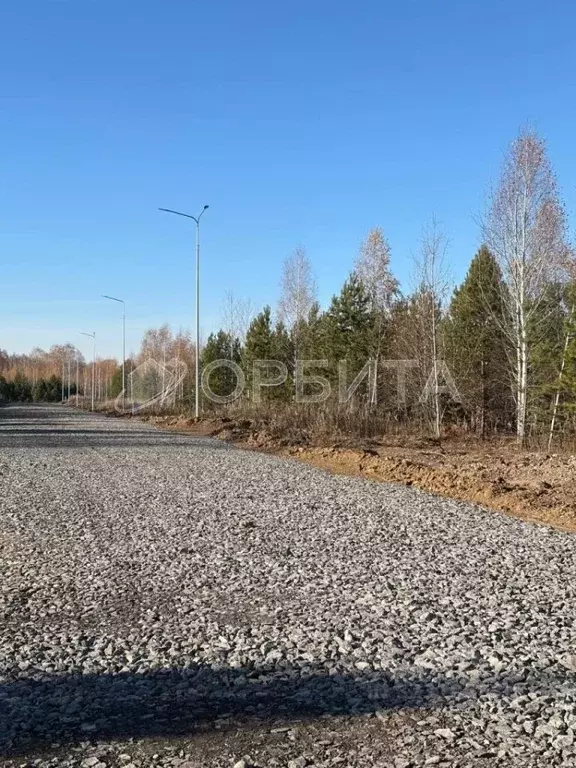 Участок в Тюменская область, Тюменский муниципальный округ, ... - Фото 2