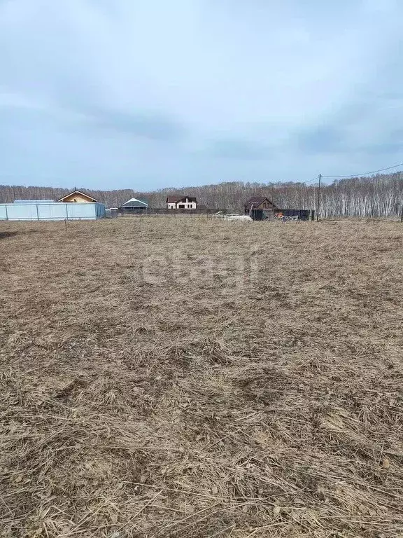 Участок в Новосибирская область, Новосибирский район, Станционный ... - Фото 0