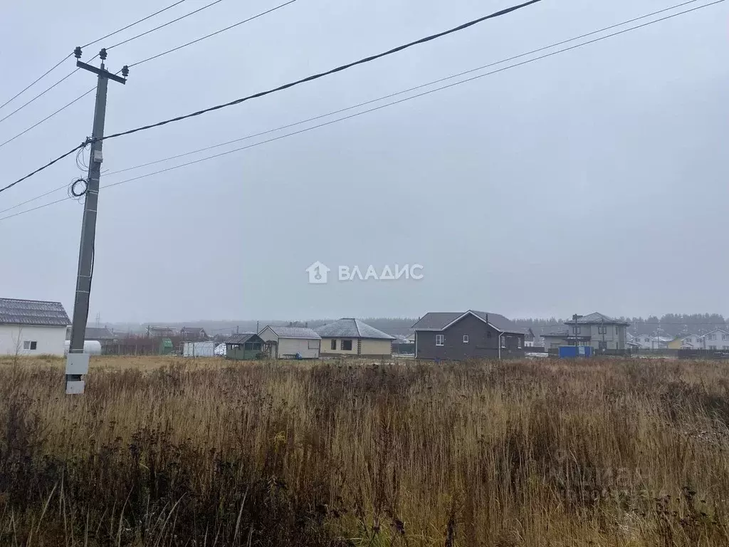 Участок в Нижегородская область, Богородский муниципальный округ, с. ... - Фото 0