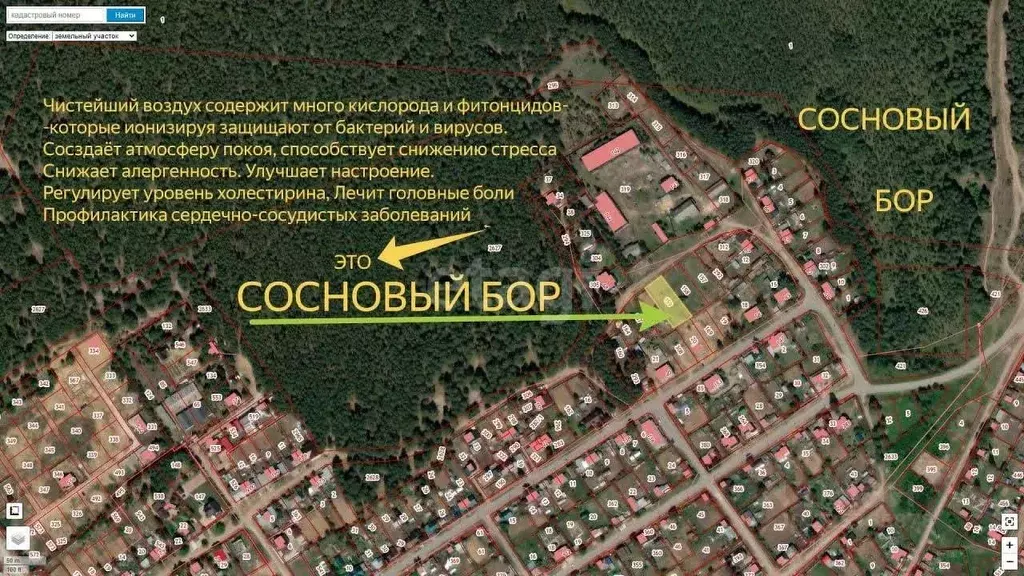 Участок в Пермский край, Березники муниципальный округ, пос. Орел пер. ... - Фото 1