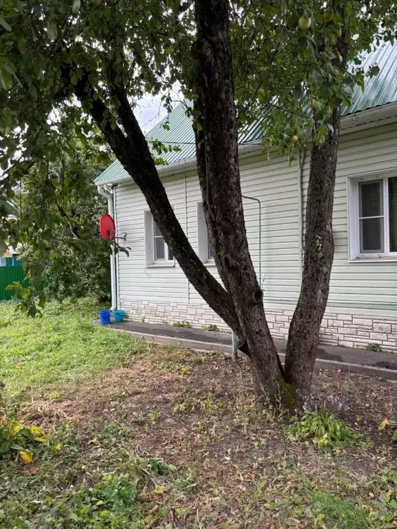 Дом в Воронежская область, Анна пгт ул. Первомайская, 36 (60 м) - Фото 2