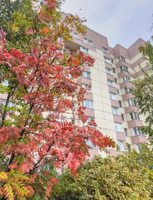 1-к кв. Санкт-Петербург Хасанская ул., 22к1 (28.0 м) - Фото 1