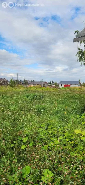 Дом в Фёдоровское, Елизаветинская улица (28 м) - Фото 0