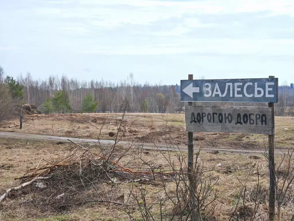Участок 20 сот. (ИЖС) - Фото 0