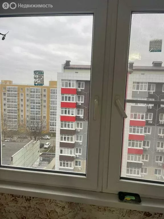 1-комнатная квартира: Анапа, Парковая улица, 64Ак4 (33 м) - Фото 0