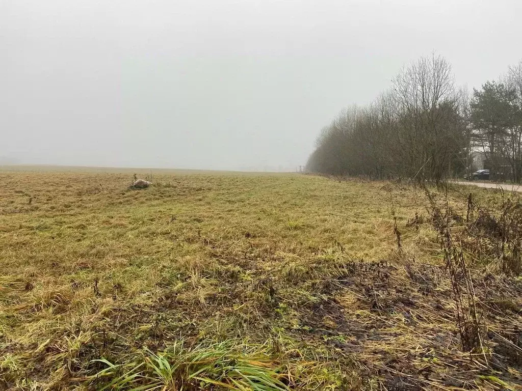 Участок в Ленинградская область, Гатчинский район, д. Таровицы  (160.0 ... - Фото 1