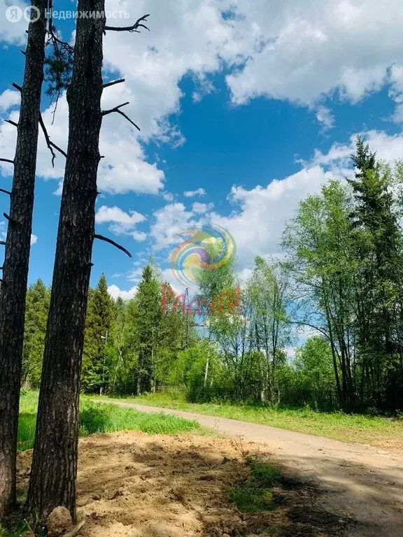 Участок в Ивановский муниципальный округ, деревня Малинки (12.5 м) - Фото 2