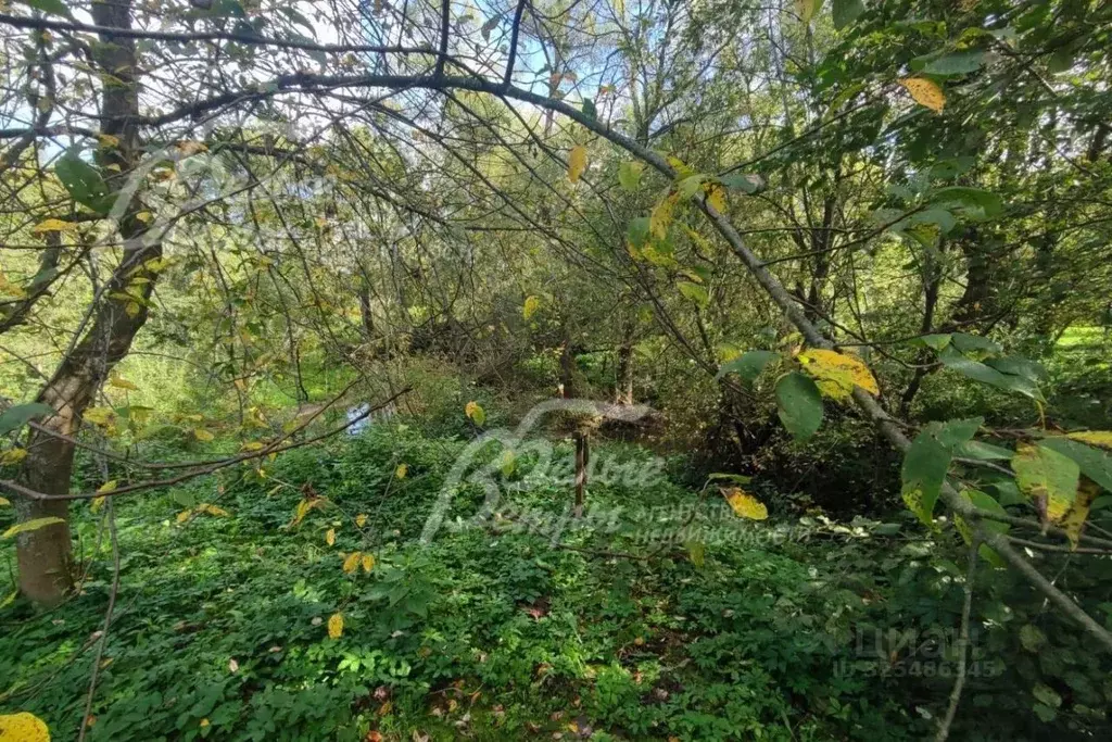 Участок в Москва д. Столбово, ул. Столбовские Дачи (35.0 сот.) - Фото 2