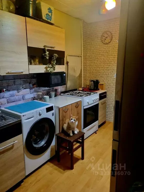 2-к кв. Свердловская область, Богданович Рокицанская ул., 11 (46.9 м) - Фото 1