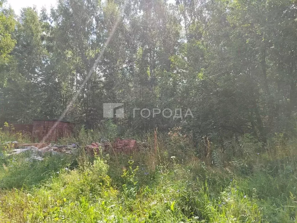 Участок в Новосибирск, Первомайский район (6.5 м) - Фото 2