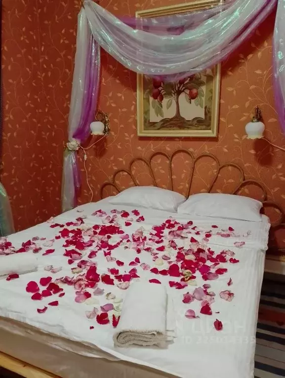 Комната Алтайский край, Красногорский район, с. Красногорское ул. ... - Фото 2