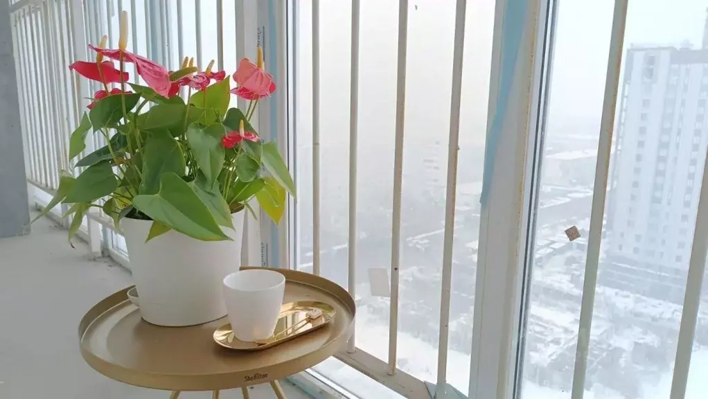 Студия Омская область, Омск просп. Королева, 7 (45.5 м) - Фото 1