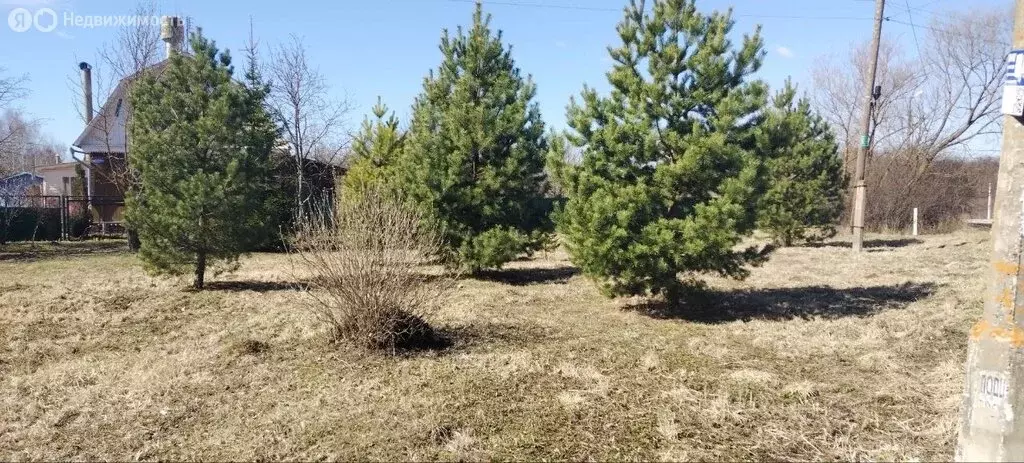 Участок в Московская область, городской округ Коломна, посёлок ... - Фото 2