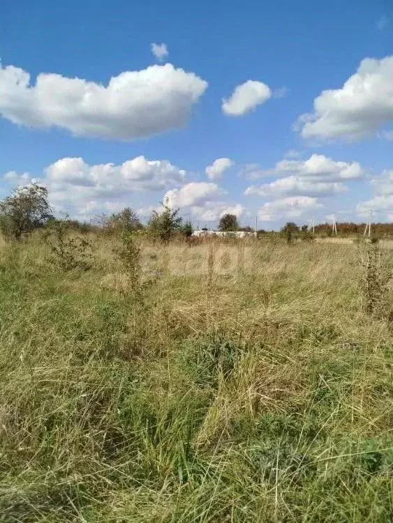 Участок в Калининградская область, Гурьевский муниципальный округ, ... - Фото 2