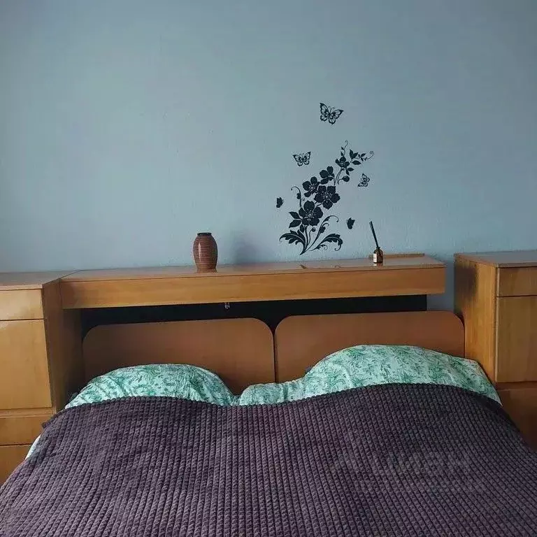 2-к кв. Нижегородская область, Нижний Новгород ул. Бориса Панина, 7А ... - Фото 1