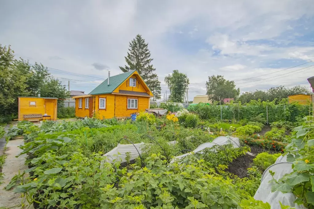 Дом в Свердловская область, Екатеринбург Садовод СНТ, Коллективный сад ... - Фото 2