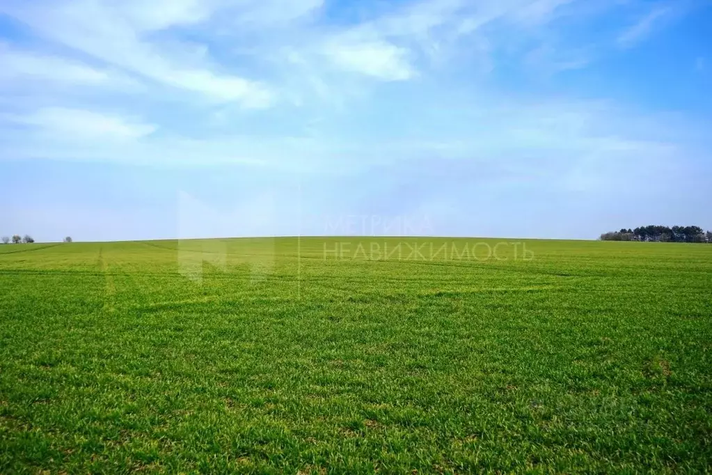 Участок в Тюменская область, Тюменский муниципальный округ, Майское ... - Фото 1