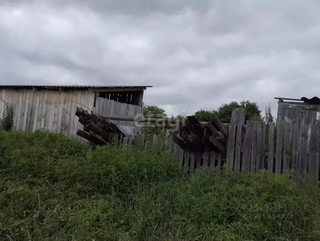 Участок в Курганская область, Шадринский муниципальный округ, д. ... - Фото 1