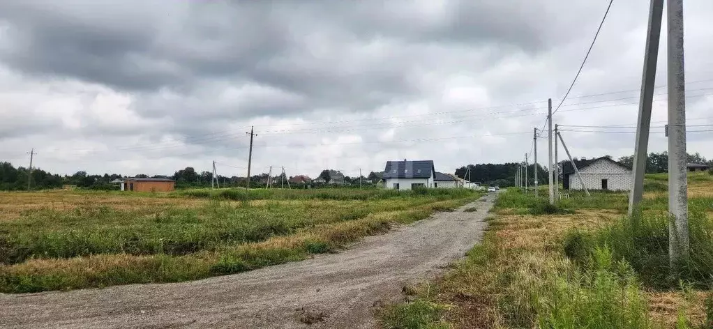 Участок в Калининградская область, Гурьевский муниципальный округ, ... - Фото 1