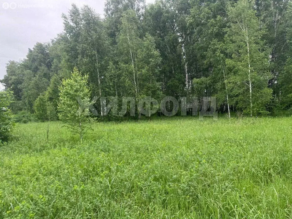 Участок в Новосибирский район, муниципальное образование Краснообск, ... - Фото 1