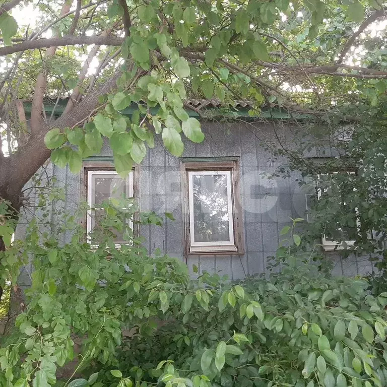 Дом 60,4 м на участке 11,7 сот. - Фото 1