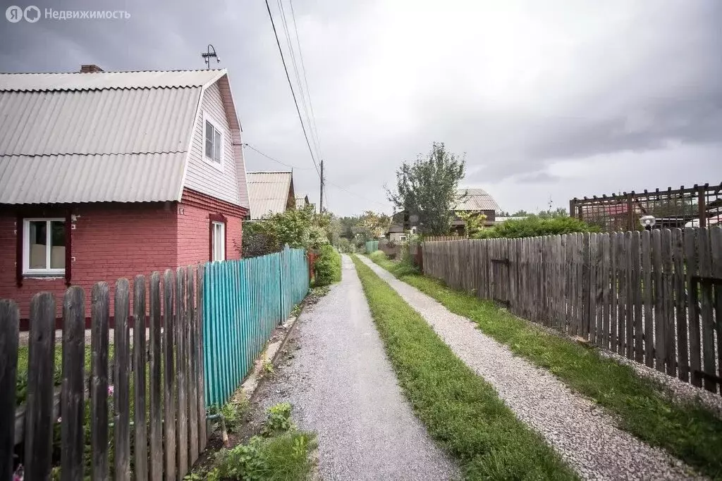 Участок в Искитимский район, Шибковский сельсовет (4.6 м) - Фото 1