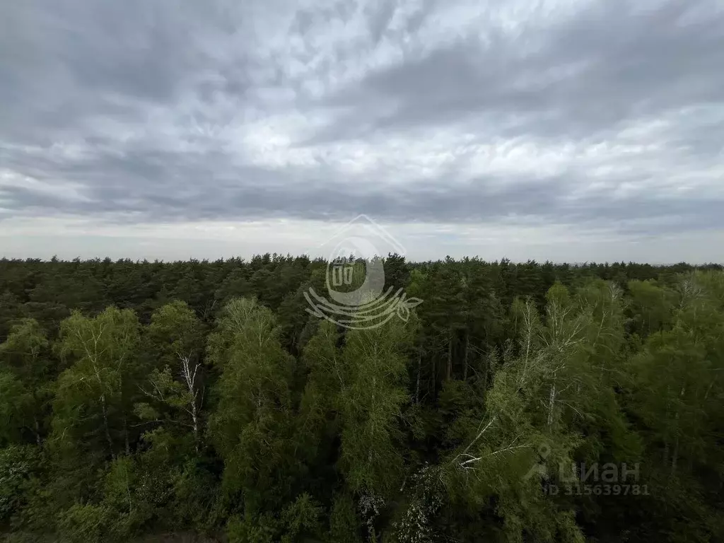 3-к кв. Алтайский край, Барнаул ул. 6-я Нагорная, 15Г/7 (65.8 м) - Фото 1