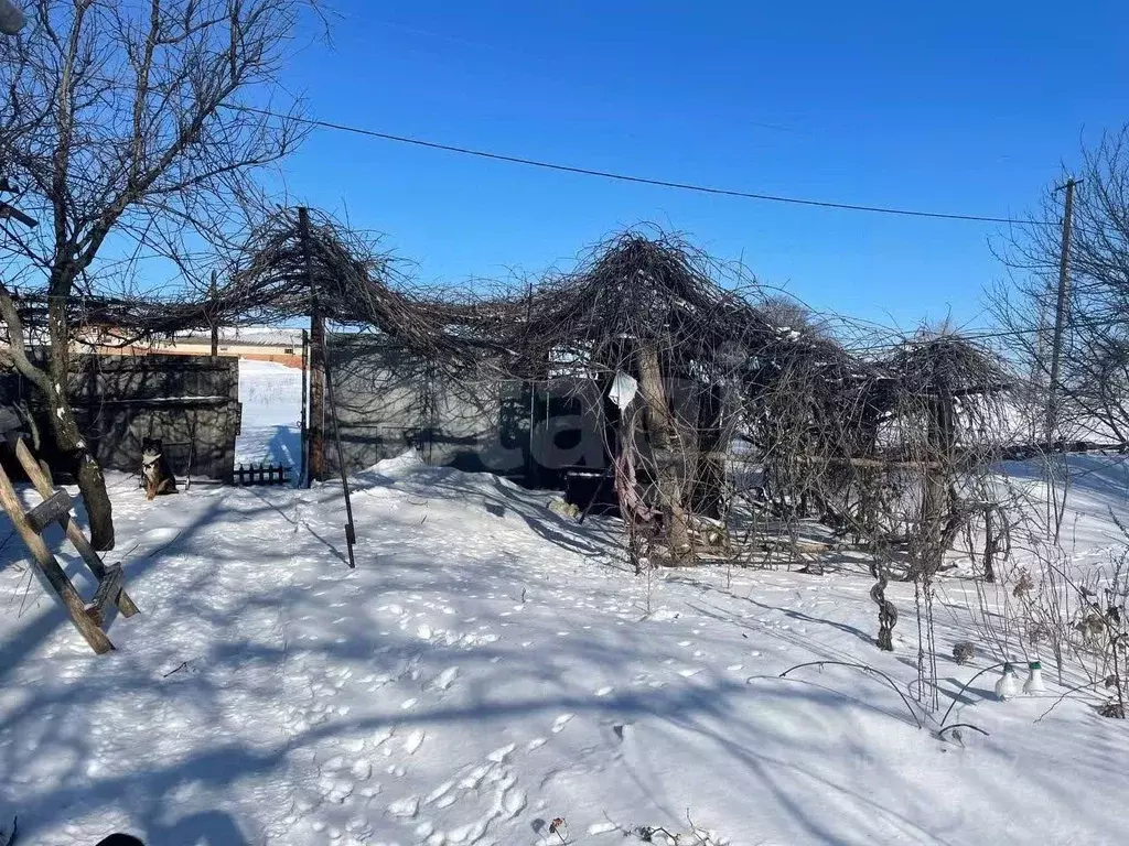 Дом в Белгородская область, с. Богородицкое ул. Колхозная, 8 (77 м) - Фото 2
