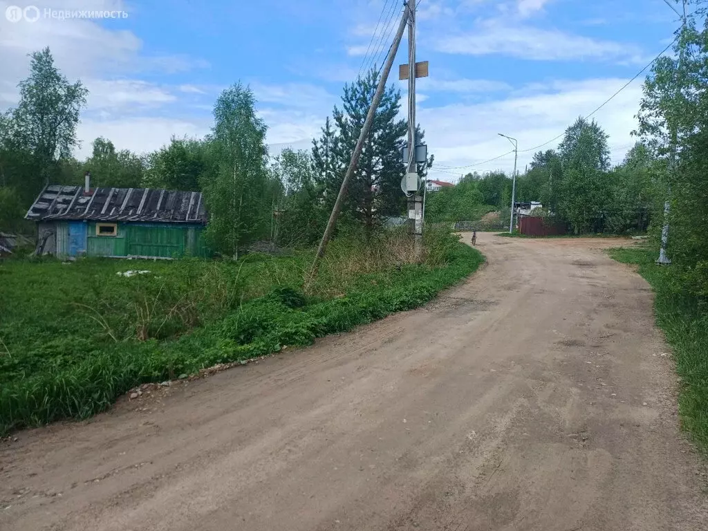 Участок в Архангельская область, Приморский муниципальный округ, СНТ ... - Фото 2
