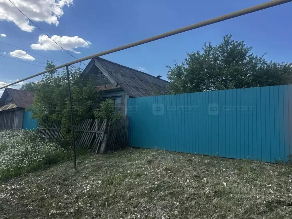 Участок в Татарстан, Камско-Устьинский район, с. Красновидово Школьная ... - Фото 1