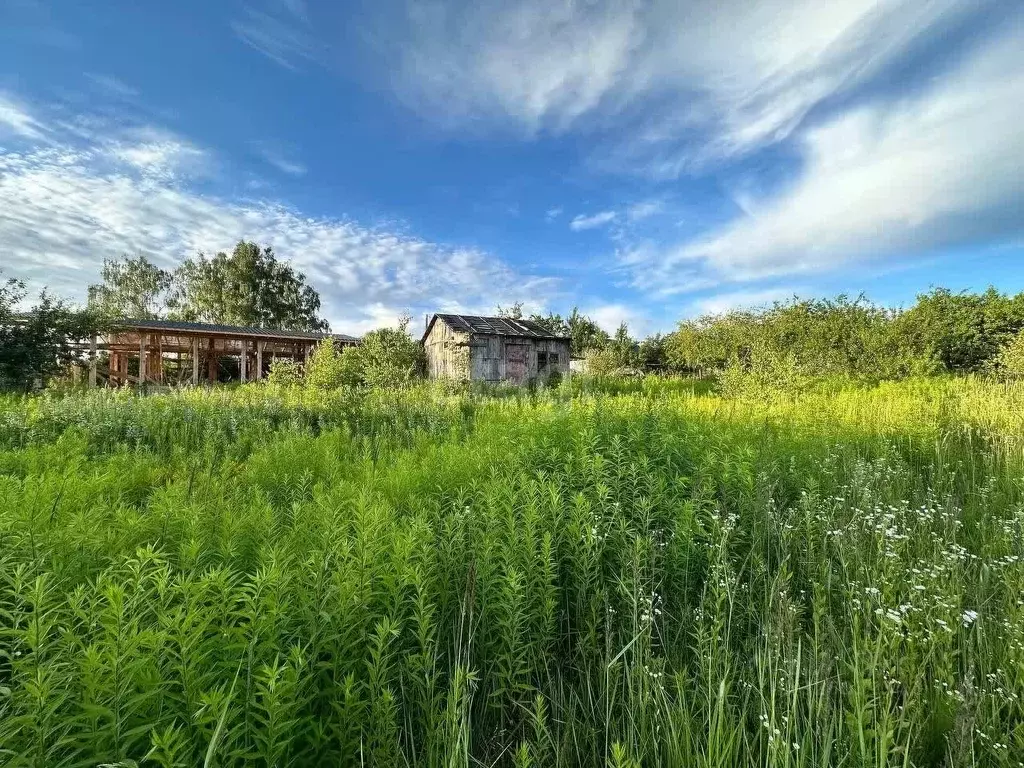 Участок в Брянская область, Брянский район, Снежское с/пос, с. ... - Фото 1