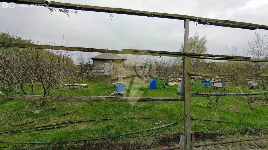 Участок в Старый Оскол, СНТ Залесье (20 м) - Фото 2