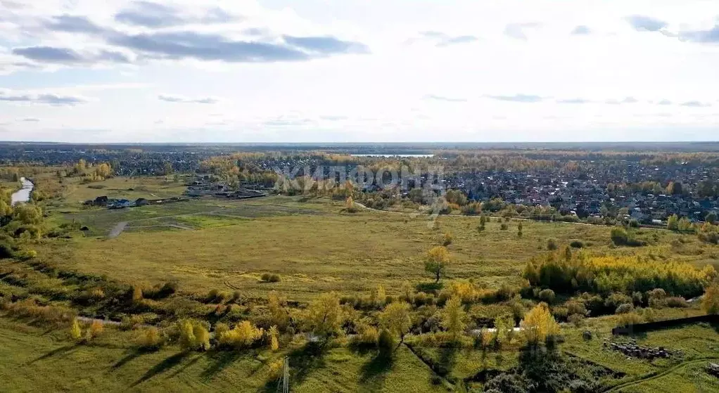 Участок в Новосибирская область, Новосибирский район, с. Кубовая ул. ... - Фото 0