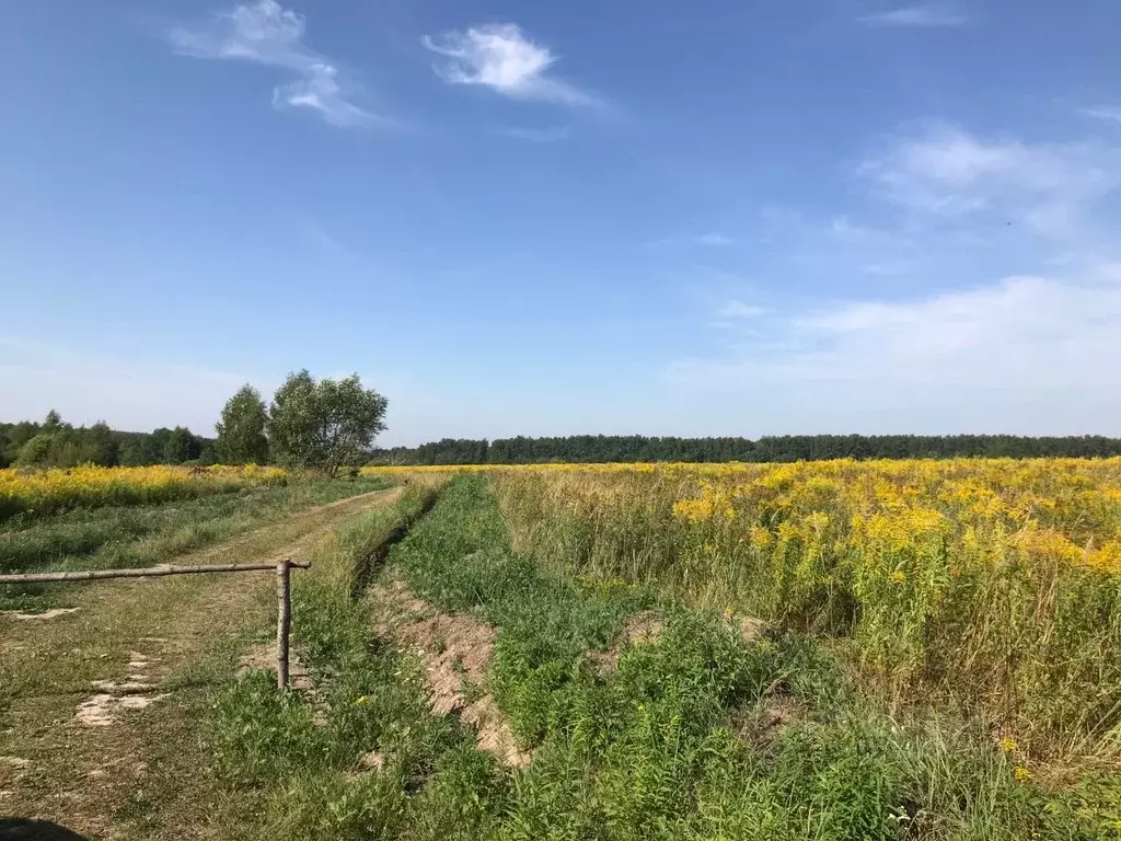 Турино тульская область фото