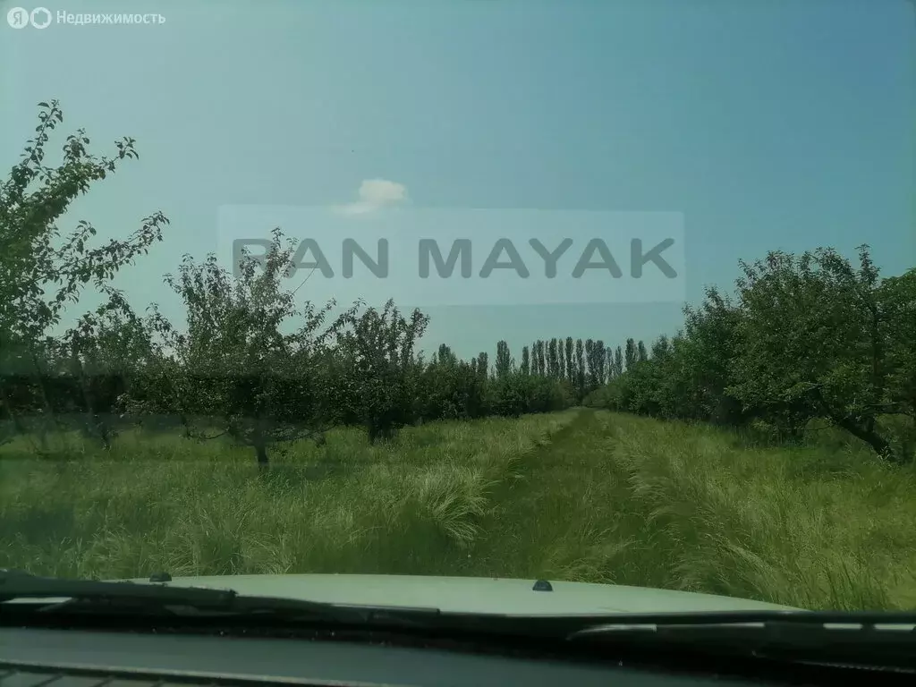 Участок в Майкопский район, Победенское сельское поселение (90000 м) - Фото 0