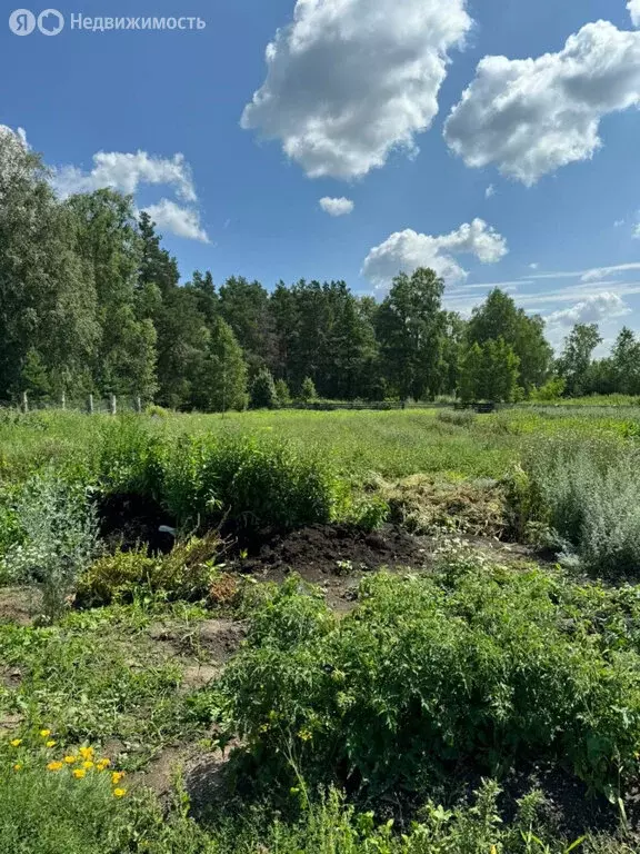 Дом в село Щербаковка, Новая улица, 2 (68.4 м) - Фото 0