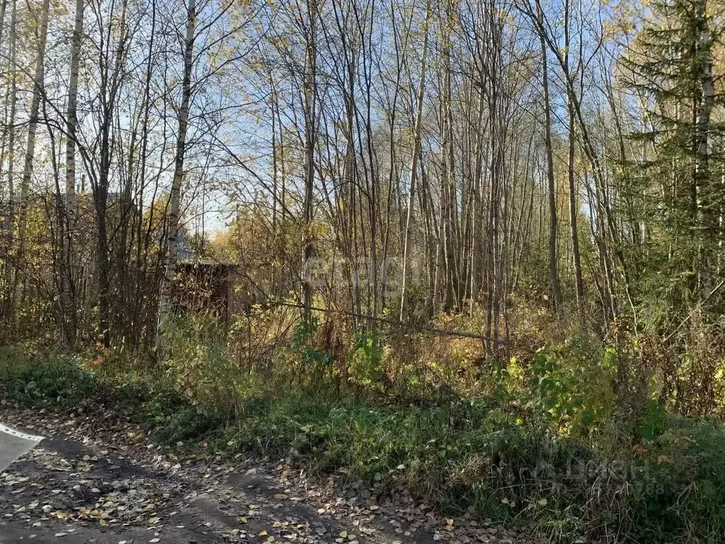 Участок в Коми, Корткеросский район, Додзь муниципальное образование, ... - Фото 2